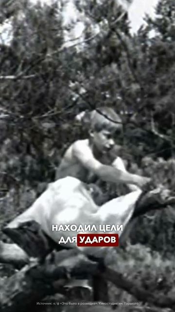 Ребёнок войны — Александр Колесников