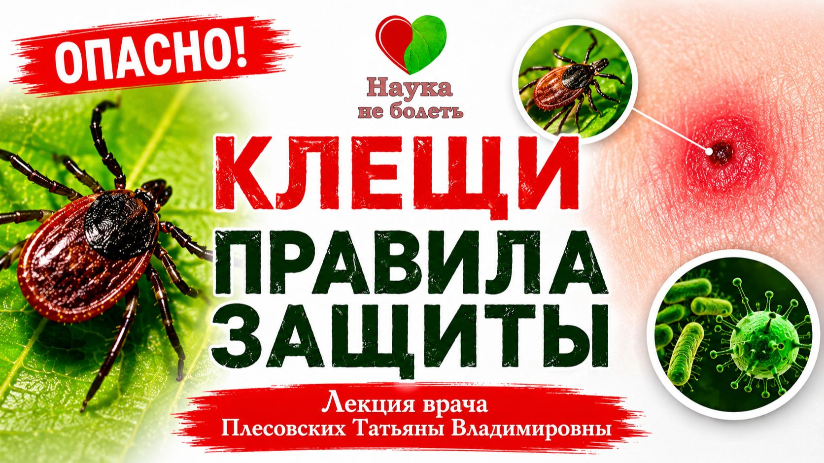 КЛЕЩ НЕ УКУСИТ - если ЗНАТЬ эту ХИТРОСТЬ!