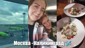 АРХИВ 2024 | vlog: перелет с котом | парк света | Балтийская коса | 11-13.10.2024