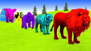 ЭПИЧНАЯ БИТВА НА СКЛОНЕ! 🐘🦁 Кто победит? Слон, Тигр, Гиппопотам и другие звери в 3D-гонке!