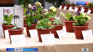 Вести Санкт-Петербург. Выпуск 08.35 от 08.05.2026