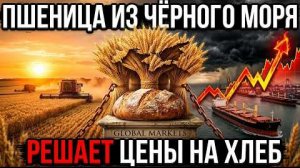 Почему рынок пшеницы из Чёрного моря влияет на цены на хлеб по всему миру