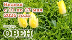 ОВЕН | ТАРО прогноз на неделю с 11 по 17 мая 2026 года