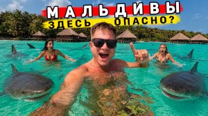 Мальдивы 2026 - дешевле Турции, НО здесь АКУЛЫ! Вся правда про ЦЕНЫ, АКУЛ и отдых на Мальдивах