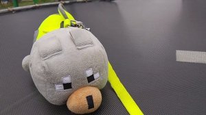 мистер  Барсик  рассказывается кто он на самом деле 🤔 и советы для нового роликак😘