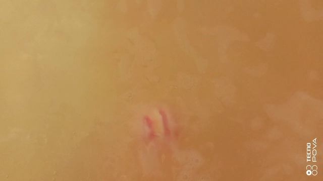 Мы снова тестируем денежную бомбочку😃