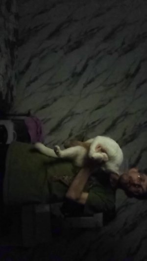 я с кошкой еду в Новосибирск на поезде 12 мая