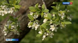 Эфир от 08.05.2026 (11:30)
