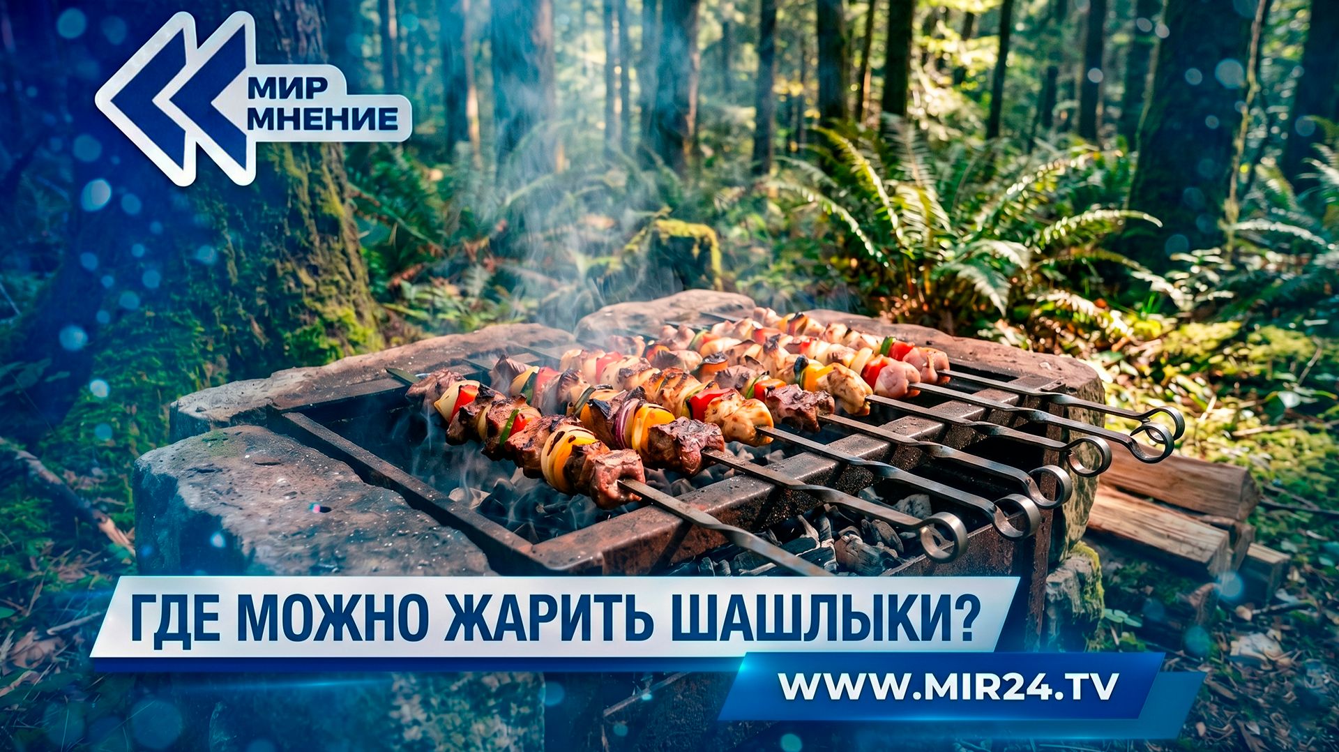 Закон шашлыка. Где разрешается жарить любимое многими блюдо?