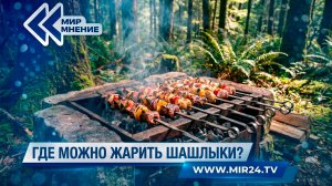 Закон шашлыка. Где разрешается жарить любимое многими блюдо?