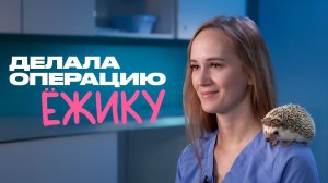 Львы, ежи, жабы, коты – ветеринарный хирург о своей работе и ваших питомцах