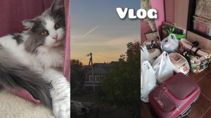 АРХИВ 2024 | vlog: уволилась с новой работы! подготовка к переезду | 18-20.09.2024