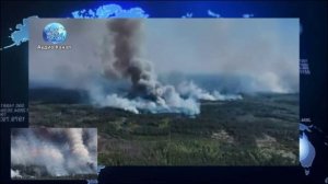 Чернобыль в огне: рядом с ЧАЭС пожар вышел из-под контроля — огонь охватил более тысячи гектаров