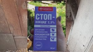 Так тихо в доме, что оглохнуть можно. Хорошо когда птичник - трансформер. Ставлю- снимаю... Удобно.