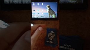 Кейс-брейк #1 КХЛ Sereal 2025-2026