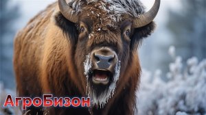Размести свои сельхоз объявления на АгроБизоне