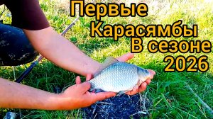 Карасямбы то что надо!  первая рыбалка на карася 2026г удалась!!