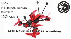 FPV в шквальный ветер 120 км/ч на фпв дроне Molecula FPV M5 Mr2M Edition рама ЗБС М5 лечу над снегом