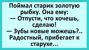 Поймал старик золотую рыбку. Она ему: Отпусти, что хочешь, сделаю!... | Анекдоты смешные | Юмор