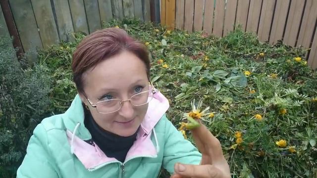 Компост, который использую ежегодно. 1 октября 2021 год.