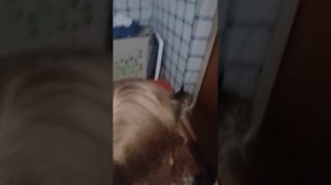 1000007189.mp4