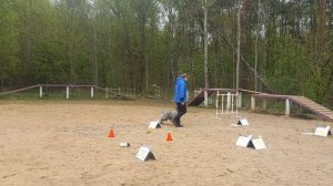 Ро3, Посох Екатерина и Джесси, Кубок Панды 2026 по ралли обидиенс