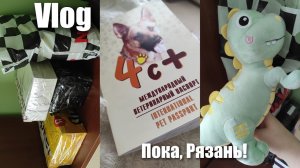 АРХИВ 2024 | vlog: ошиблись в ветклинике | уезжаю из Рязани! | 26-28.09.2024
