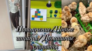 Пополнение/Новые штана/Домашние хлопоты