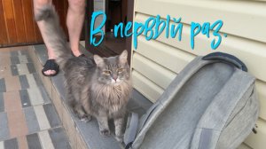 В первый раз.