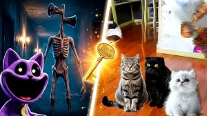 КОШКИ против СИРЕНОГОЛОВОГО и CATNAP: Кто заберет КЛЮЧ К УСПЕХУ?