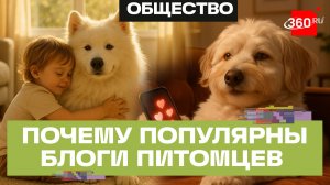 Четвероногие блогеры: как питомцы обогнали хозяев в популярности