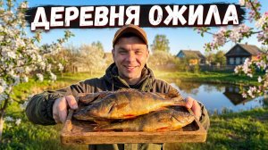 ЛОСЬ В ОГОРОДЕ?! Бешеный клёв и копченые окуни.