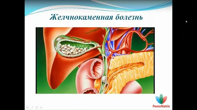 Вебинар: «Поджелудочная железа. Желчный пузырь и желчные протоки»
