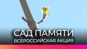 30 кленов высадили новгородцы в парке «Красное поле» в рамках акции «Сад памяти»