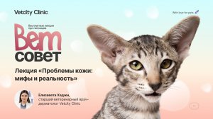 Лекция «Проблемы кожи: мифы и реальность» (Хаджи Елизавета) 29.04.2026