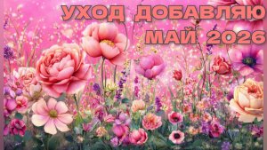 #УХОД ДОБАВЛЯЮ МАЙ🎖️