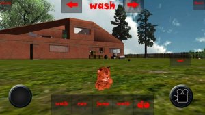 cat simulator 3d