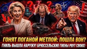 КРЫСИНЫЙ ПИР ОКОНЧЕН! Donald Trump ОПУСТИЛ Friedrich Merz — Spain ВЫГОНЯЮТ ИЗ NATO!