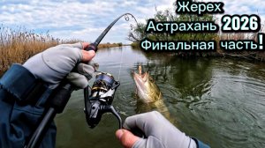 Ловля жереха в Астрахани. Сазан на мандулу! Долгожданная рыбалка 2026! Финальная часть.