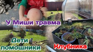 У Миши травма/Клубника,рассада/Папа и сыновья,вместе сила 02.05.26 Часть 2