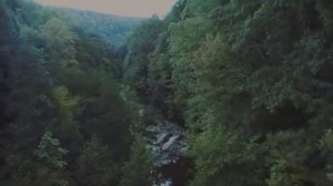 Бесплатные видео стоковый видео