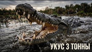 Крокодил. Машина смерти которая не менялась 200 миллионов лет