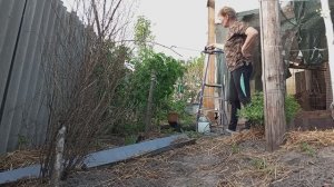 08-05-2026  Обработка малинника от листогрызущих насекомых. Ловим момент, пока не зацвела.