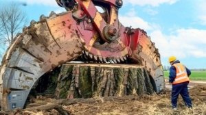 Экстремальные машины для спила и перевозки деревьев. Лучшая подборка