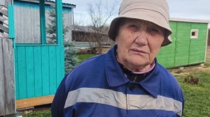 Свекровь посуду моет,а я высаживаю петуньи и копаю грядки.