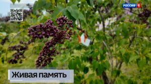 В эти праздничные дни Донецкий ботанический сад превратился в место живой памяти