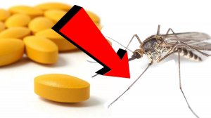 Как избавиться от комаров За 3 Секунды!!!
