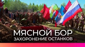 На мемориале в Мясном Бору состоялась церемония захоронения советских бойцов