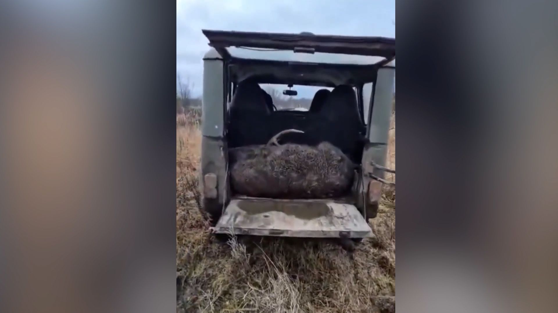 Выстрел на миллион