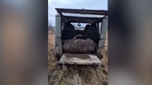 Выстрел на миллион